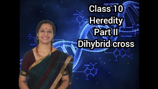 Biology Class 10 Hereditary Part 2 Dihybrid Cross [upl. by Bucella54]