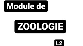 Zoologie  introduction à la zoologie L2 USTHB [upl. by Pineda]