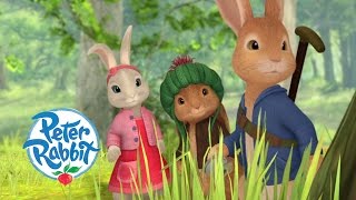 Peter Rabbit  The Two Ememies [upl. by Quenna57]