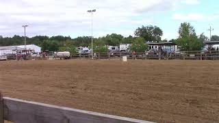 Wayne County Fair Horse Arena Live Stream [upl. by Nwahsyar309]