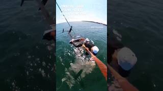 Kiteboarding Cherry Beach Toronto Lake Ontario in Toronto  Consulting  Sales  Lessons  Repairs [upl. by Maloy252]