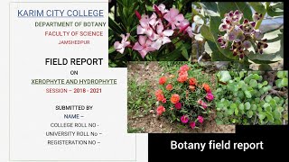 Botany field report  Field report  Trip report  Xerophytic plants [upl. by Nnylyt681]