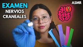 asmr 👩🏻‍⚕️EXAMEN de NERVIOS CRANEALES🧠 Muy Detallado  Roleplay Medico Vivalen ASMR [upl. by Scheider]