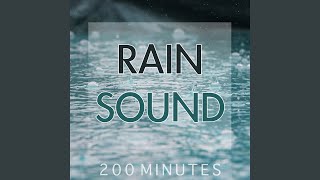 Rain Sound Pure White Noise for Natural Deep Sleep Inducing [upl. by Yecnay]