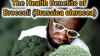 The Health Benefits of Broccoli Brassica oleracea [upl. by Alrzc]