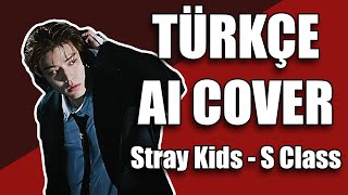 Stray Kids  S Class Türkçe Cover [upl. by Vange]