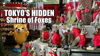 Tokyo’s Akasaka amp Hidden Fox Shrine  Toyokawa Inari Betsuin [upl. by Munford134]