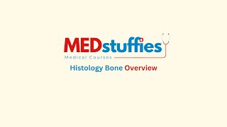 Histology Bone Overview [upl. by Seuqram]