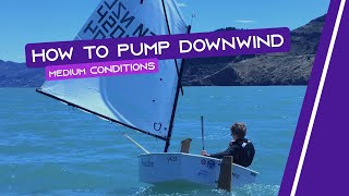 OPTIMIST SAILING  How To Pump Downwind  Medium Conditions [upl. by Alane460]