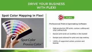 SAi FLEXI Spot Color Mapping [upl. by Sibell659]