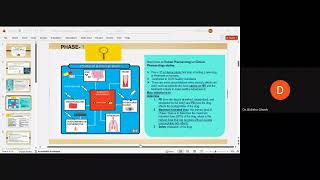 Phase1 Study in clinical research [upl. by Modnar]