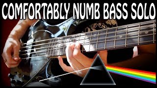 Comfortably Numb Solo on BASS [upl. by Lohman]