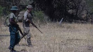 Malawi turns to British troops in poaching war [upl. by Lonnie]