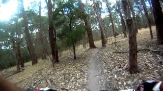 Mountain Biking at Lysterfield  Aneurysm Trail [upl. by Materi]