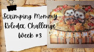 Lets Create A Rolodex Card With Scrimping Mommy Rolodex Challenge Week 3 memorydex [upl. by Kcirdlek]