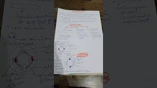 cytoskeleton biology shortvideo shortsfeeds class11 biology [upl. by Halilahk]