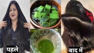 सर्दियों में aloe vera ऐसे लगाओ तेल लगाना भूल जाओगे पतले कमजोर बार तेजी से उगेंगे hair growth remedy [upl. by Lavern]