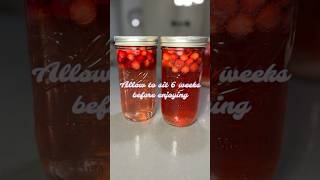 Homemade cranberry juice promises to be delicious homemaker homemadekitchen cranberry holiday [upl. by Ellissa68]