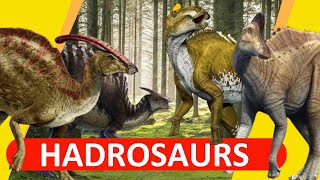 Hadrosaurs  The DuckBilled Dinosaurs  2020Outdated [upl. by Ahsened495]