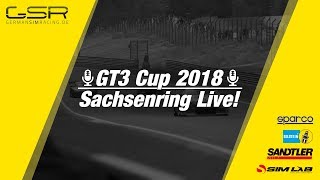 GSR GT3 Cup  Sachsenring  Assetto Corsa  Lauf 2 [upl. by Atteuqal]