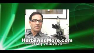 Herbs and More Overview With Steve Marmor in Encinitas California [upl. by Narik847]