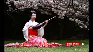 japanese shamisen zen music clear mind wagakki 432 hz [upl. by Yecnahc]