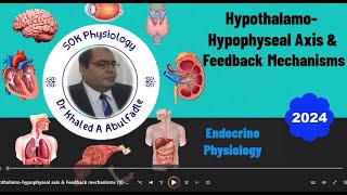 HypothalamoHypophyseal Axis amp Feedback Mechanisms 102024 by Dr Khaled A Abulfadle [upl. by Siuluj]