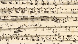 VIVALDI  Early Violin Concerto  RV 813 in D minor  formerly RV Anh 10  Vienna manuscript [upl. by Yarb]