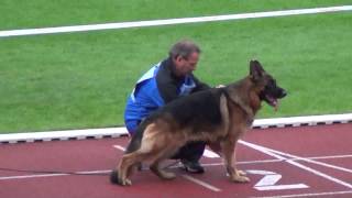 2013 SV BSZS Kassel NKGR part 18 Etoo aus Wattenscheid [upl. by Isidore]