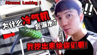 为什么冷气机会漏水？冷气机也会流鼻涕！我挖完出来给你们看！！【DailyVlog】 [upl. by Notreb]