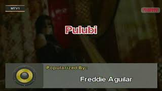 Pulubi  Freddie Aguilar Karaoke [upl. by Nashner421]