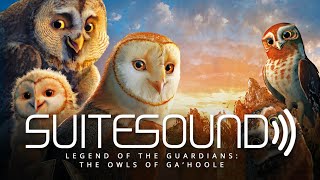 Legend of the Guardians The Owls of GaHoole FULL GAME Longplay PS3 X360 Wii [upl. by Nodnil837]