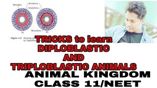 TRICKS to learn DIPLOBLASTIC and TRIPLOBLASTIC ANIMALSANIMAL KINGDOMCLASS 11NEET [upl. by Oinoitna89]