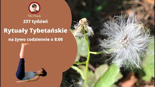 🧘Rytuały Tybetańskie – tydzień 237 dzień 1 [upl. by Miki]