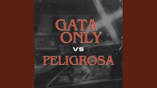 Gata Only Vs Peligrosa [upl. by Lorenz518]