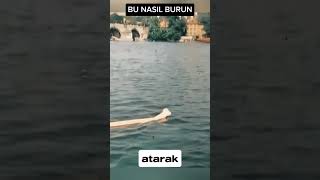 BU NASIL BURUN [upl. by Klos]