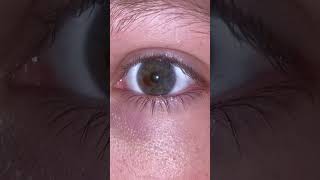 Decided to do this trend but I have sectoral heterochromia  SRRY IVE NOT BEEN POSTING [upl. by Atirres237]