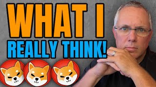 What I REALLY Think About Shiba Inu Coin [upl. by Aikemot]