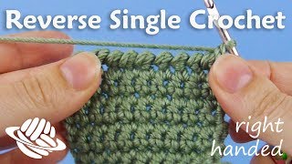 Reverse Single Crochet righthanded version [upl. by Ahsinel]