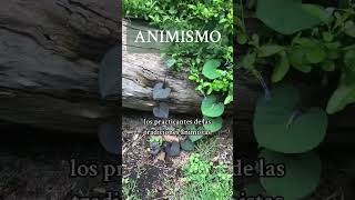 Animismo 🪬 tiktokvideo tarot magic amor frases occult magia witch witchcraft [upl. by Calida]