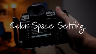 Color Space Setting in camera Lightroom Capture One and Photoshop [upl. by Coheman]