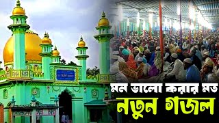 ২১ শে কার্তিক বাড়ির জলসায়┇নতুন গজল┇মন ভালো করার মত গজল┇junaid siddiqui naat┇junaid siddiqui ghazal [upl. by Rosane]