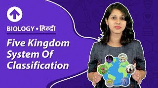 Five Kingdom System Of Classification  Hindi  Biology [upl. by Ococ]