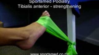 tibialis anterior strengthening [upl. by Kimon]