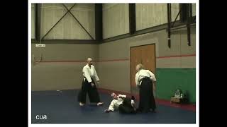 Aikido  Randori 2005 [upl. by Yffub216]