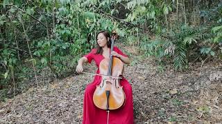 Fire on Fire from quotWatership Downquot by Sam Smith  Cello Cover [upl. by Eelamme]