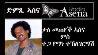 Voice of Assenna Interview with Mr Yemane TGiorgis Fmr EPLF Member  Part 3 [upl. by Eerot]