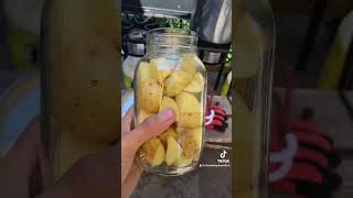 Dry canning potatoes canning rebelcanners preserving [upl. by Siana]