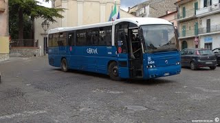 Bus Cotral n5454 Irisbus EuroClass 389 Voith [upl. by Mansur]