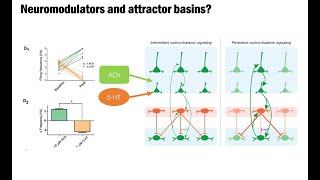 Cognitive and behavioral attractors dynamical systems theory as a lens for systems neuroscience [upl. by Uhej922]